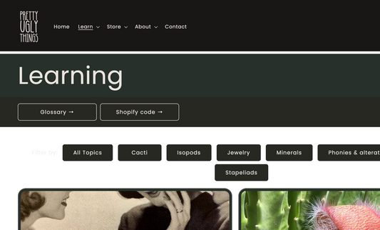 Screenshot of the main "learning" page with a white strip showing between the header and page title, and behind article cards.