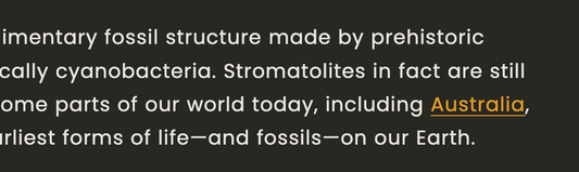 Screenshot of product description text with text light colored on a dark background, and a hyperlink in golden yellow text.