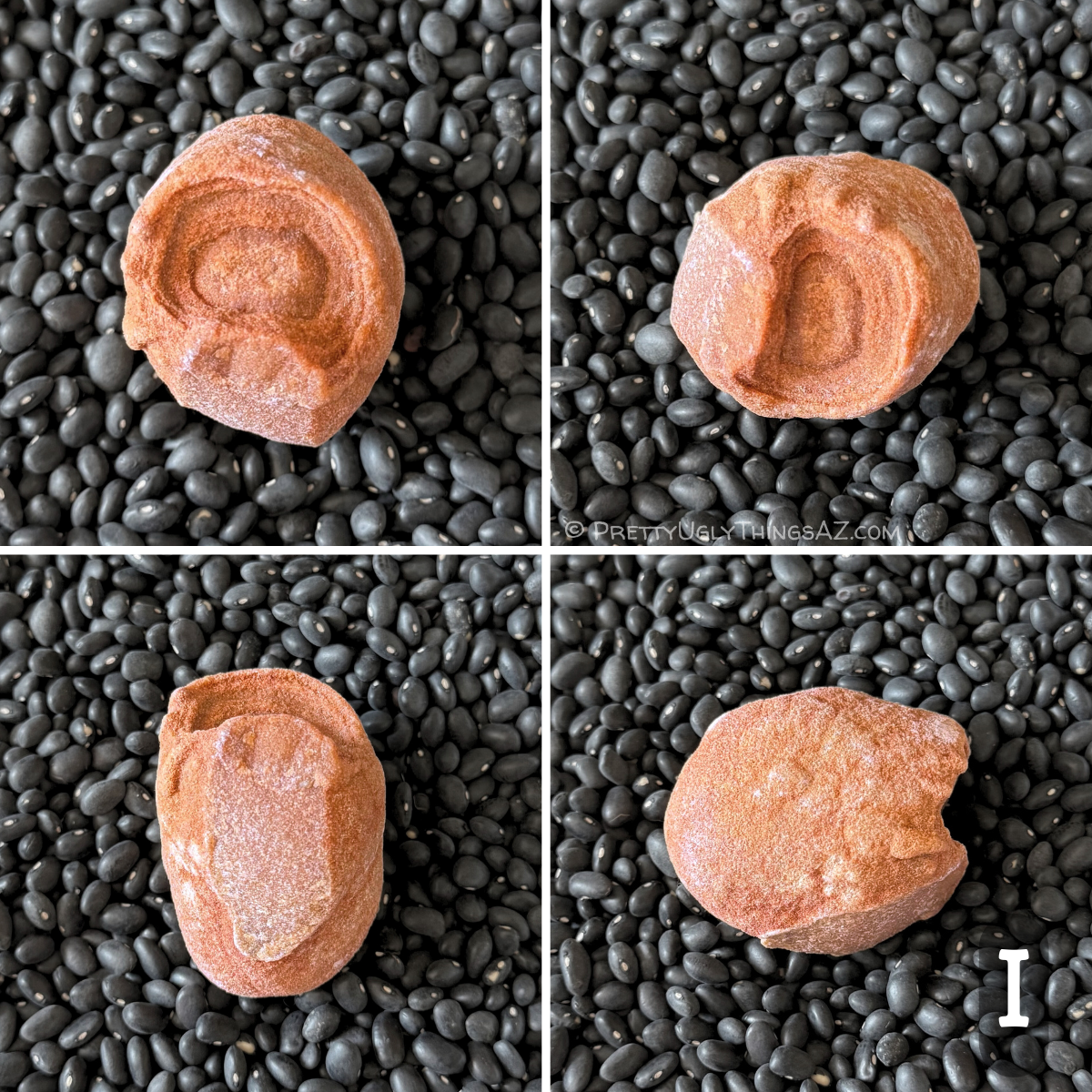 Four views of option I, a piece with a small curled oval face with good rings. From the side the piece is elongated, like a potato with one end cut off. The piece has a reddish-yellow sandstone color.