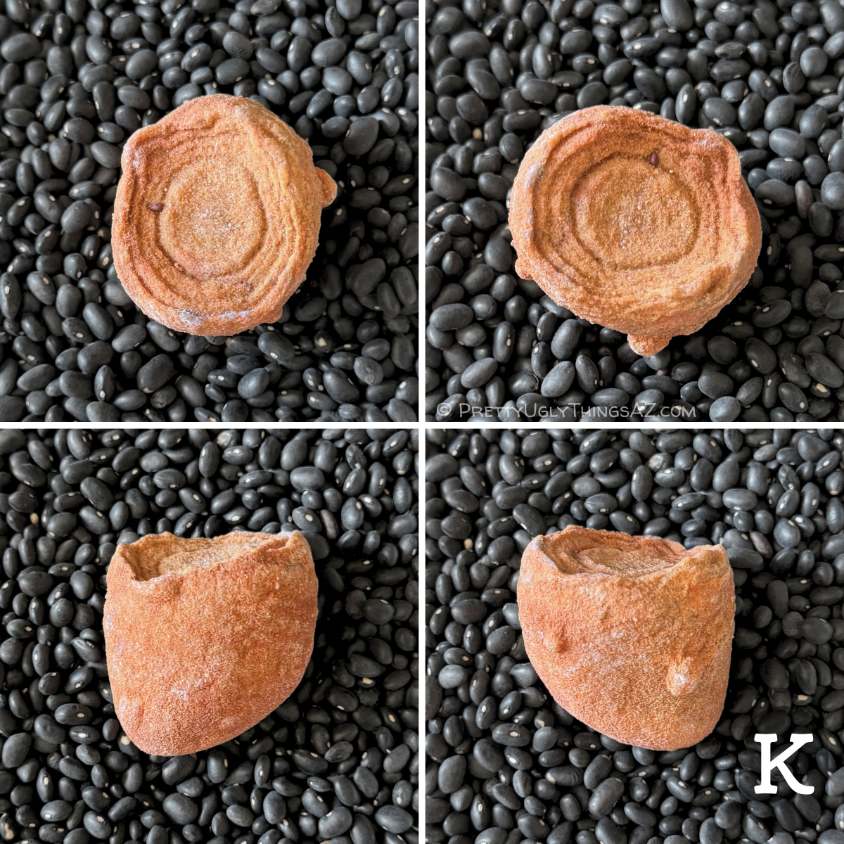 Four views of option K, an oval piece with good rings, slightly obscured by large grain of sand and small pebble included in the sandstone. There are two small round nubbins sticking out the side of the piece. It has a light yellowish red sandstone color.