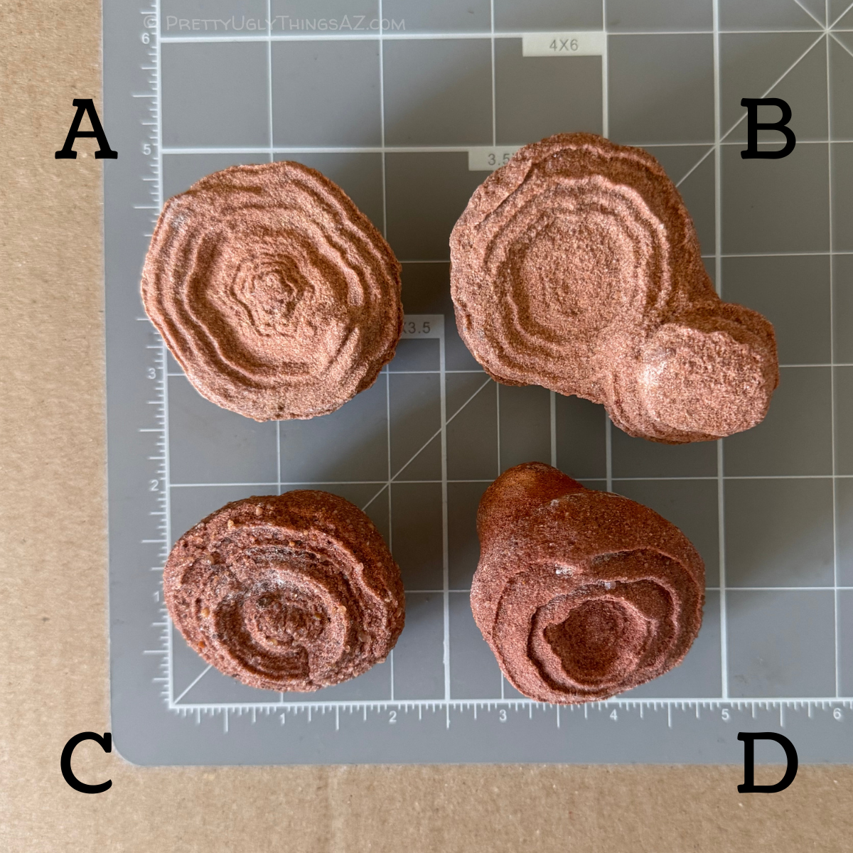 Options A through D on a measuring mat, each about two inches in diameter or less, with B the largest and C the smallest.