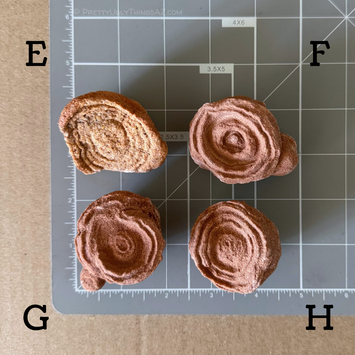 Options F through H on a measuring mat, each a bit under two inches in diameter, with relatively similar size.