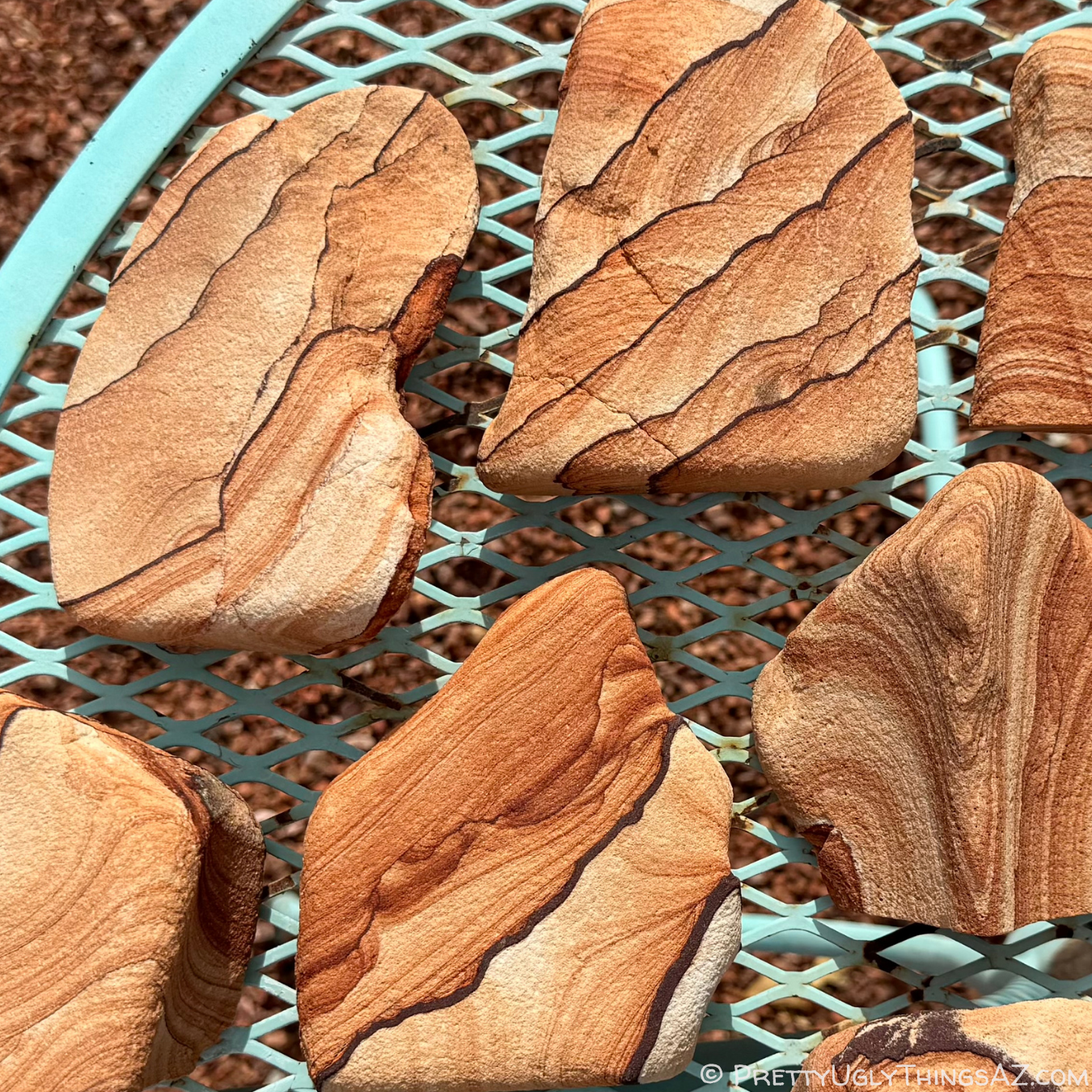Several small freeform pieces of red sandstone with flat bottoms spread over a tabletop, with similarly colored gravel under them.