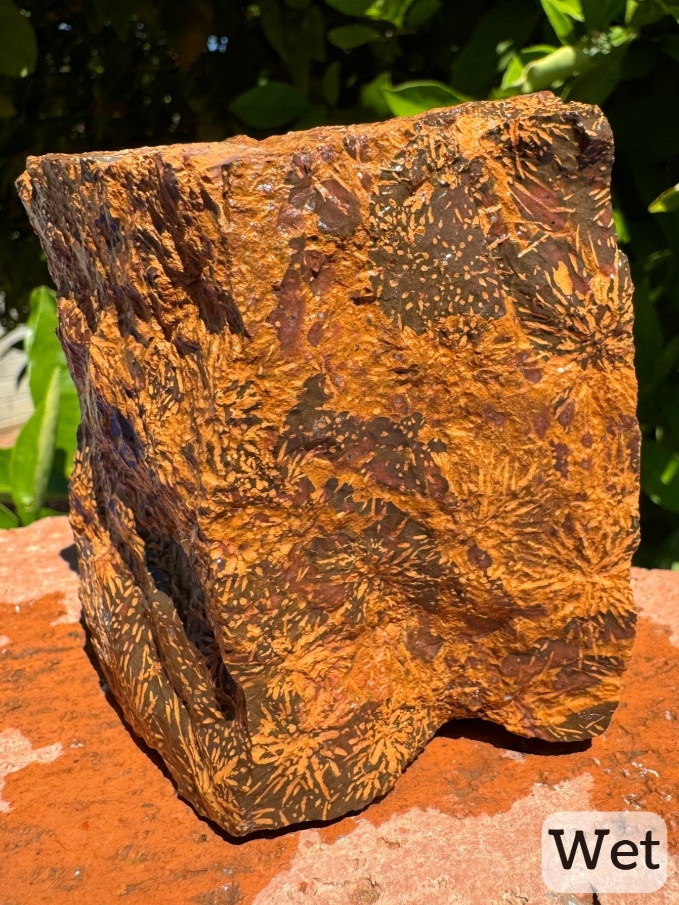 Captioned "wet," a blocky side of the piece while wet with some starburst pattern and some patches of yellow-brown and red-brown coloration.