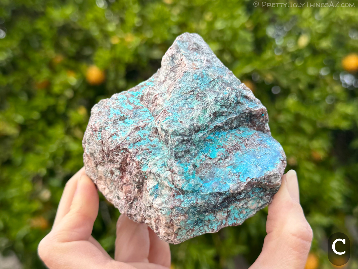 Option C, a compact roughly square piece of light-colored granite with dark speckles and some chunky feldspar crystals visible. The whole top is coated in bright robins-egg blue mineral, with some royal blue and blue-green tint in areas.