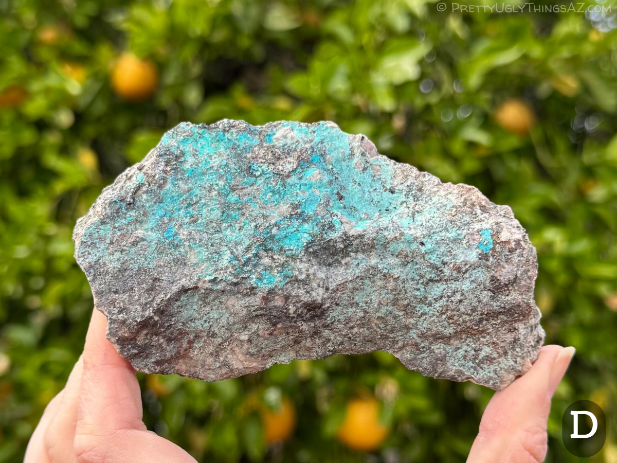 Option D, a flattish roughly rectangular piece of lighter colored granite with dark speckles. The top half has patchy vivid robins-egg blue mineral coating it, and the bottom half has a much more subtle light green-blue tint.