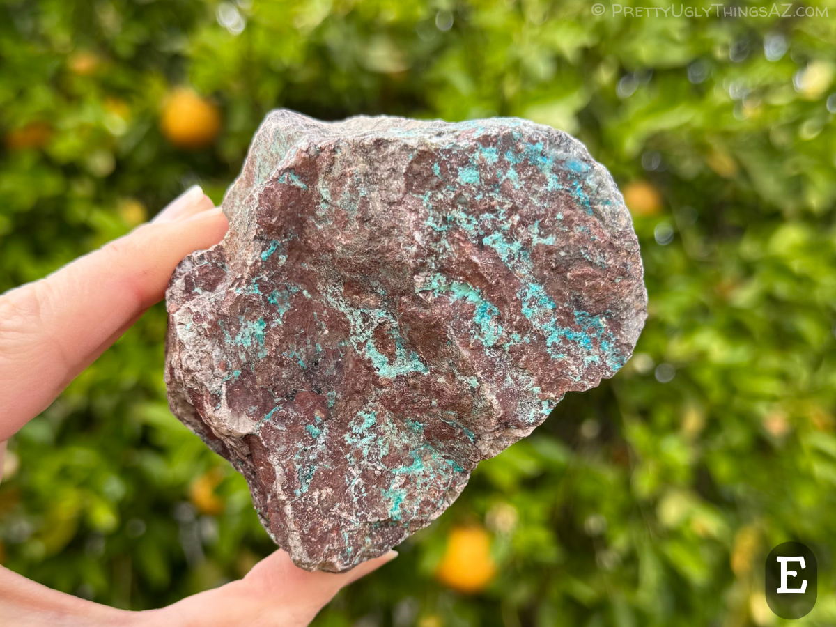 Option E, a compact blocky piece that is dark red-brown with iron oxides coating the surface. Vivid robins-egg and turquoise blue streaks run across the face in striking contrast.