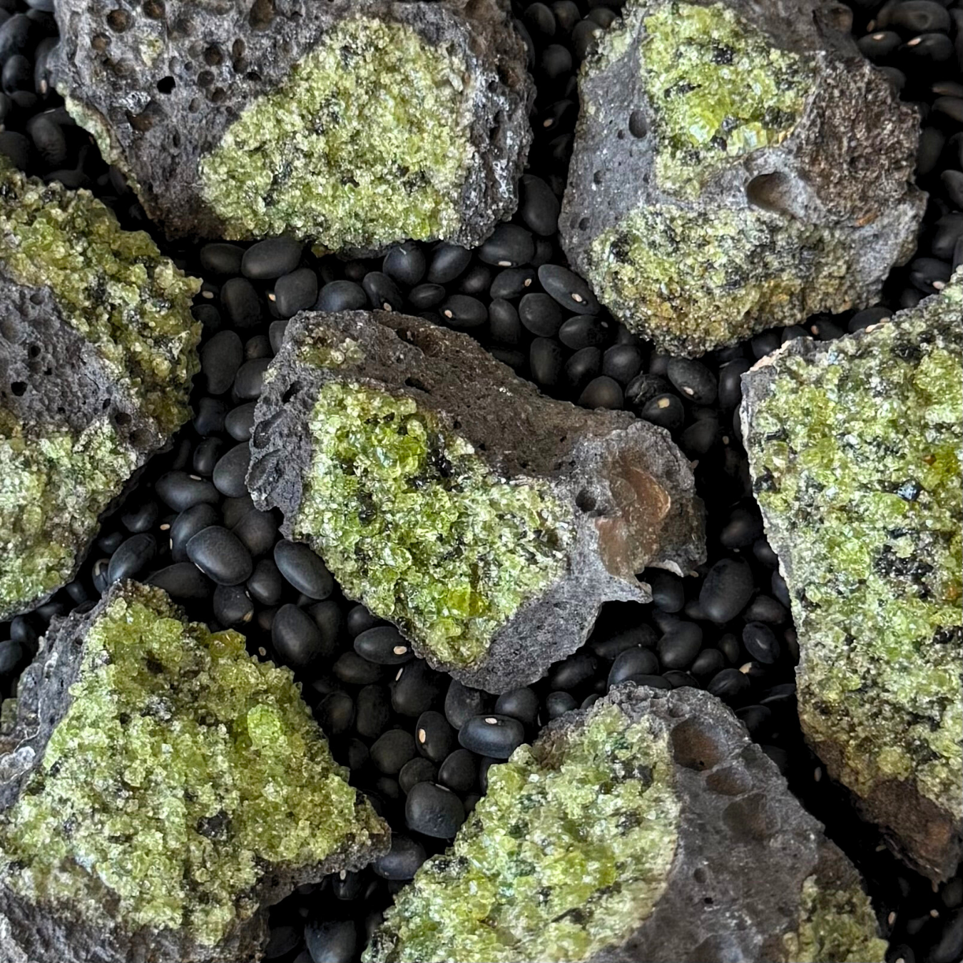 Several small pieces of peridotite in basalt, a near-black lava rock with pockets of small yellow-green crystals. They are spread on a background of black beans.