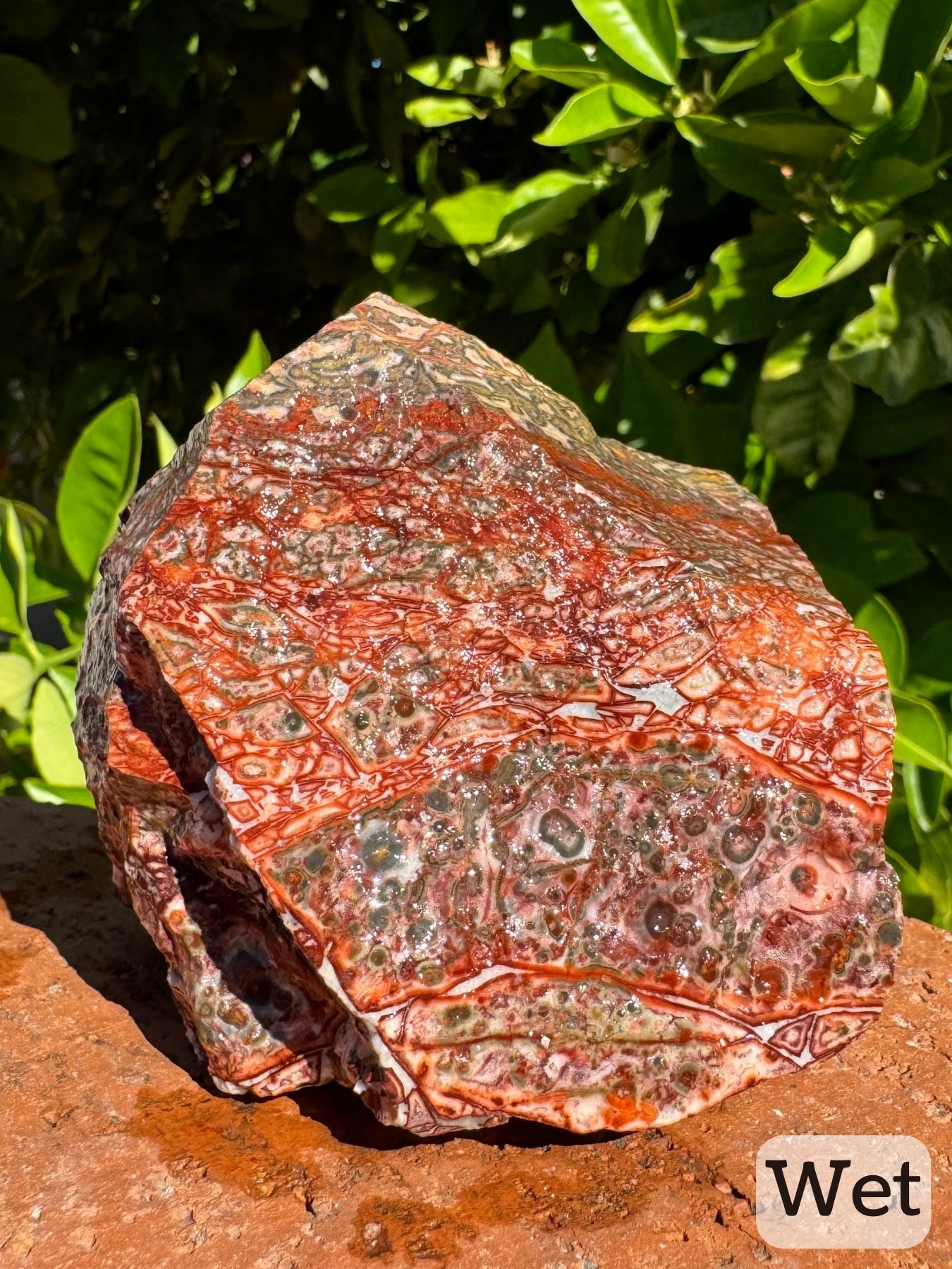 Captioned "wet," a view of the piece while wet showing more vibrant coloration of saturated red vein patterning with white at the center. The background is a pink-red tinted color with gray orbicular pattern