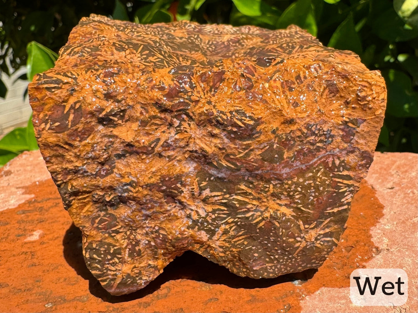Captioned "wet," the piece wet, close view of a rectangular side with starbursts, and a white quartz vein curving through it bordered with red-brown background.