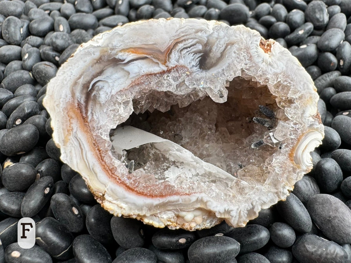 Option F: Detail of one half of the geode pair, with several black pointed crystals coated in a sugary druzy, and a hollow white hexagonal crust