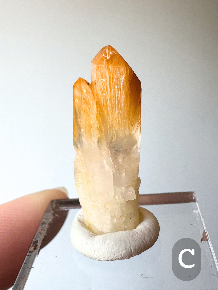 Option C, two narrow apparently twinned crystals intergrown, with two golden orange tips with well-formed distinct fibers in the top half, the bottom halves colorless.
