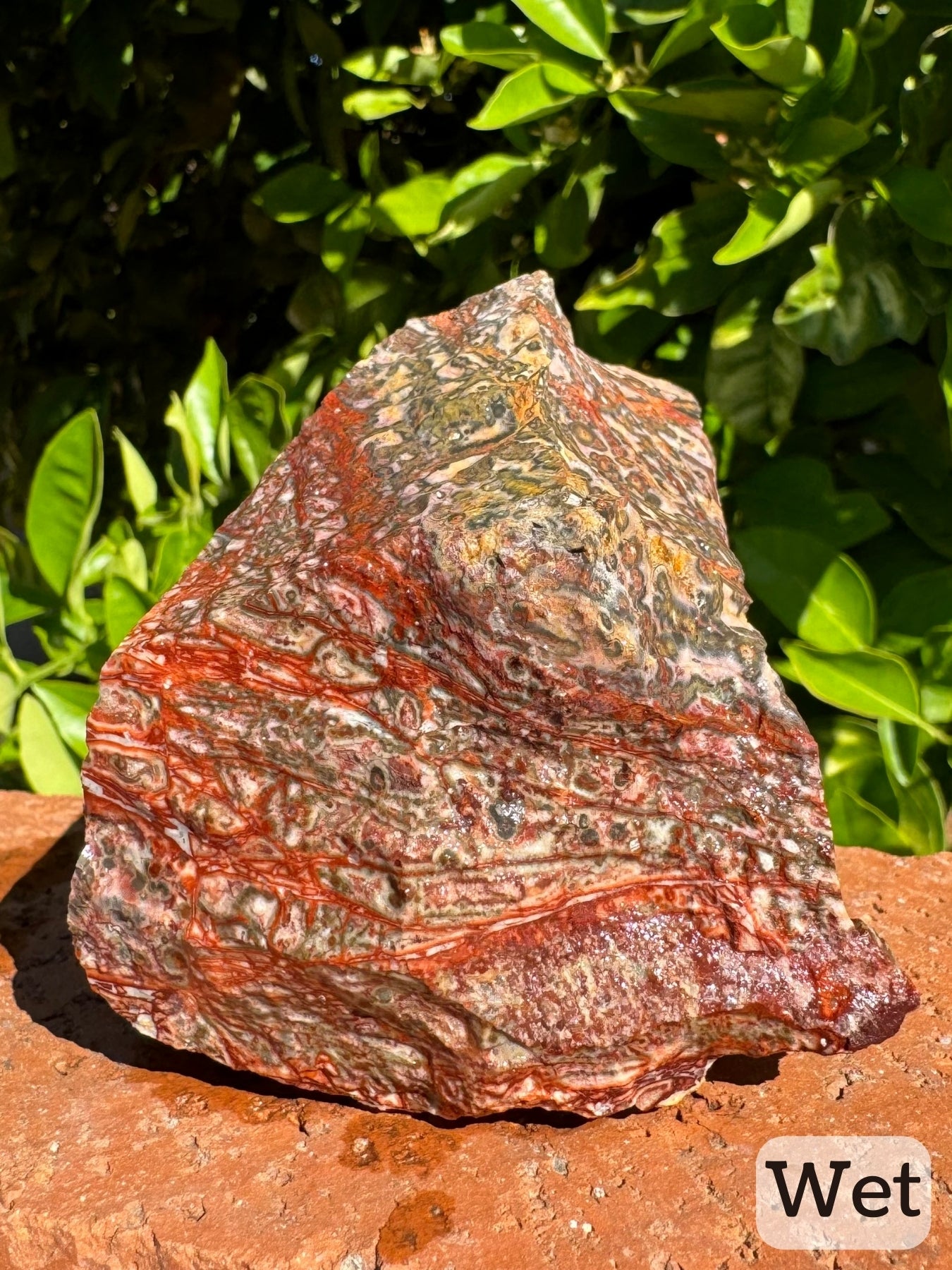 Captioned "wet," a different side of the piece while wet, showing there is only a small patch of yellow orbicular pattern on the piece. Thin red veins cross the piece horizontally.