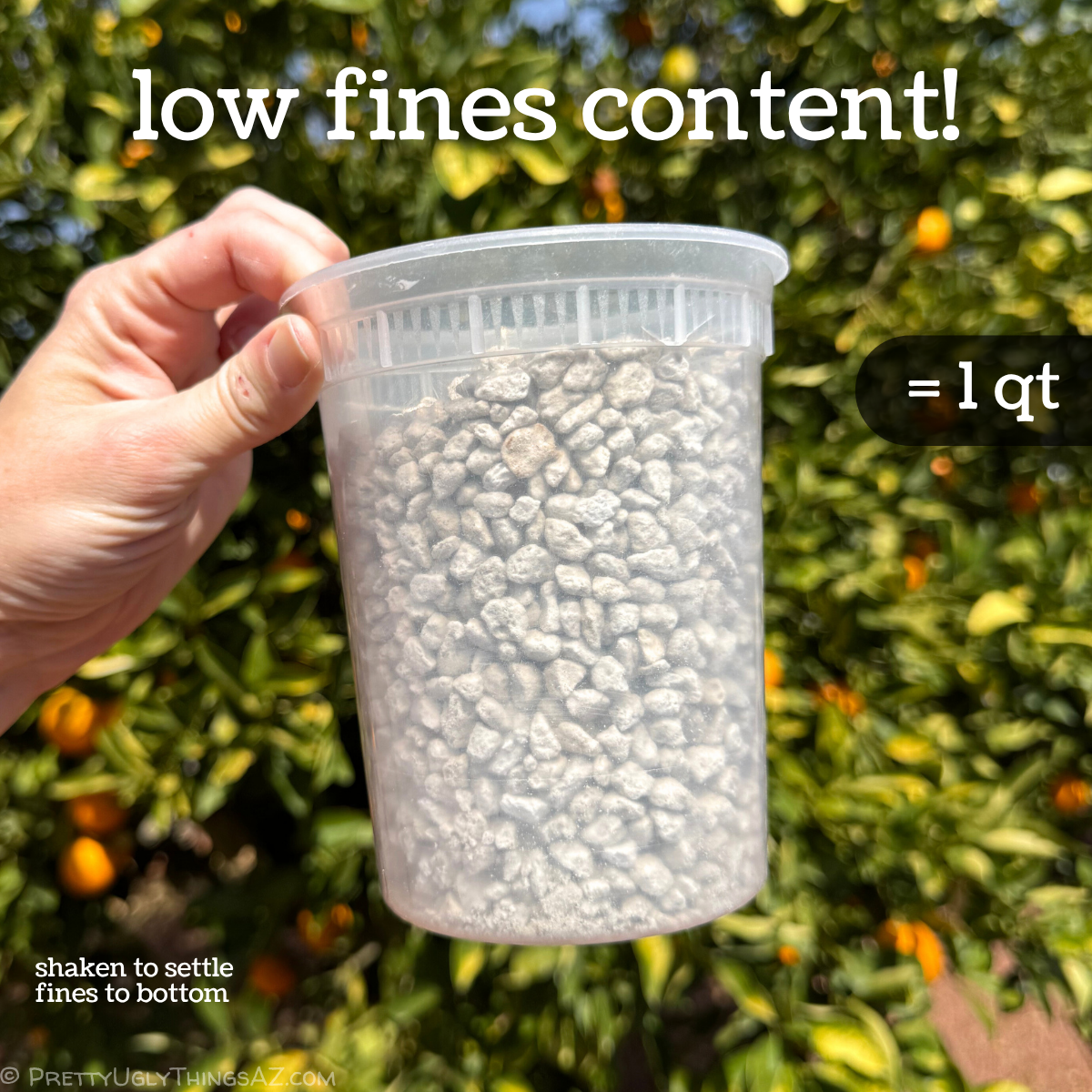 A plastic one quart container filled with pumice, with a thin layer of dust at the bottom. The image is captioned as low fines content, with a smaller note clarifying that the bin was shaken to settle fines to the bottom.