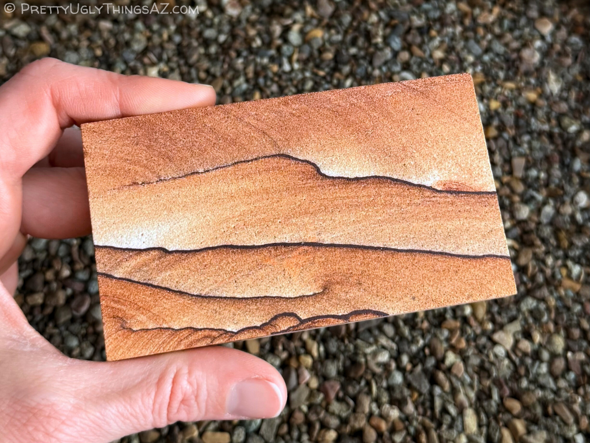 A medium-sized slab of sandstone held in a hand for scale. The piece appears about the size of a deck of cards, except longer, and not as thick. The piece corresponds to option E.