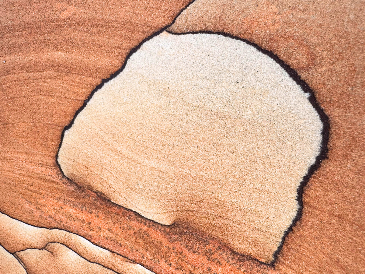 Close detail view of the surface focused on the light-colored tulip formation, a thin dark iron band bordering a rounded near-white patch of sandstone. Very thin subtle layers cross the light patch in a gradient.