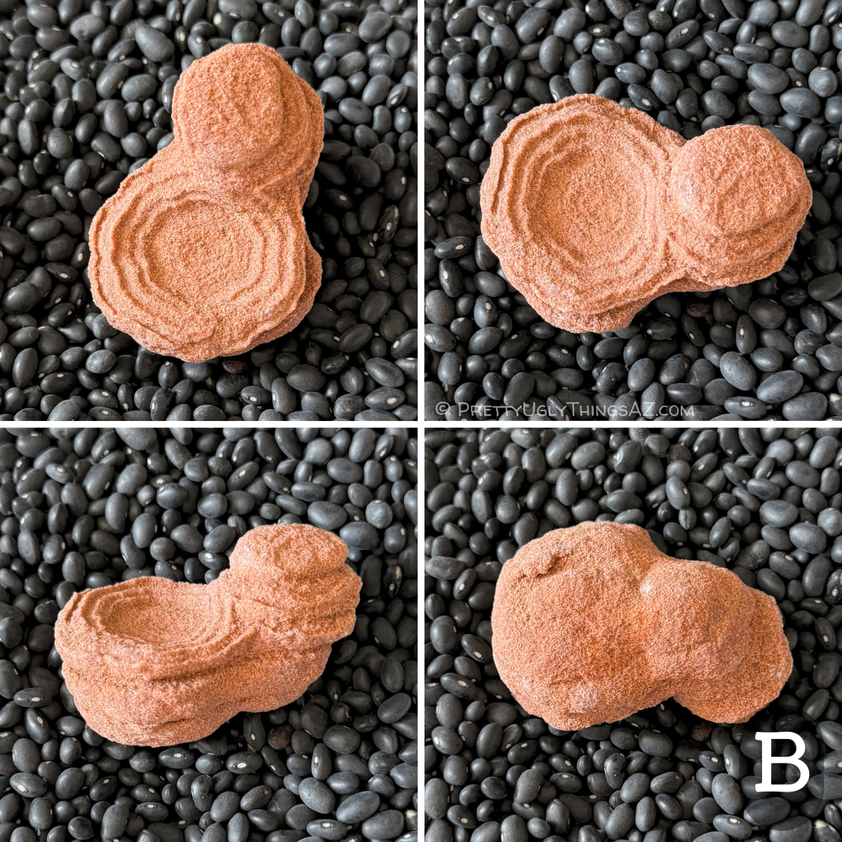 Four views of option B, one round stromatolite with good rings, with a knobby raised formation of discs to one side of it. Upside-down, it looks like one small sphere attached to a slightly larger one. The piece has a light reddish sandstone color.