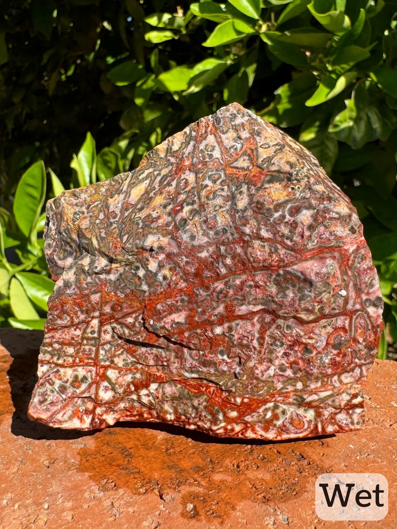 Captioned "wet," a side of the piece while wet with colorful stripes across it an a color gradient from yellow-tinted and the top deepening to a more pink-red tint.