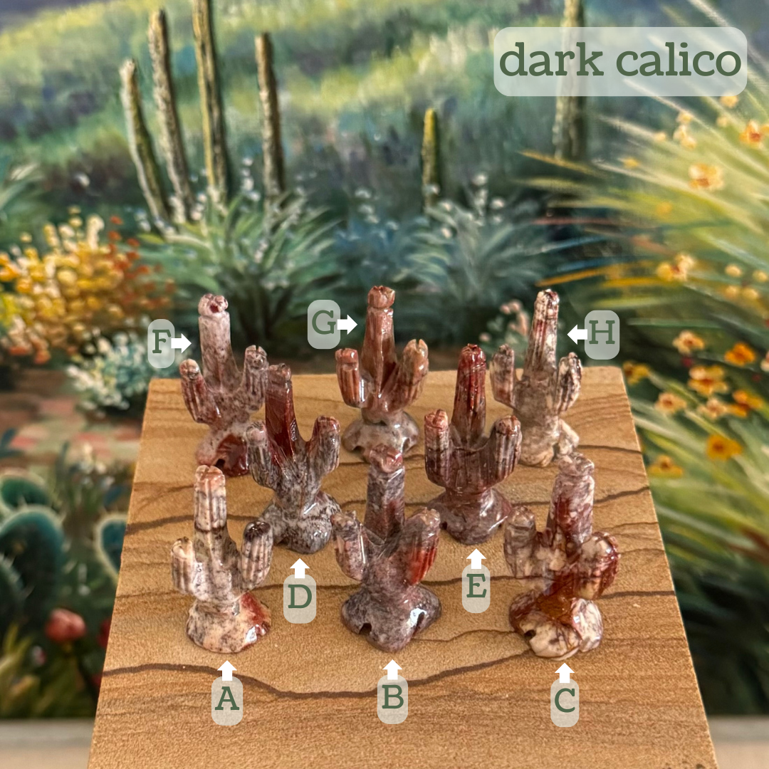 Captioned "dark calico," eight saguaros labeled A through H. A is cream with fine dark gray spots and red. B is a mottled gray and red. C is off-white with dark red veining and patches. D is a grainy gray with a smooth dark red tip. E is grainy red and gray with a red tip. F is a grainy light gray with dark pepper spots in gray and red. G is a smooth streak yellow-red. H is cream with veining in gray and red.