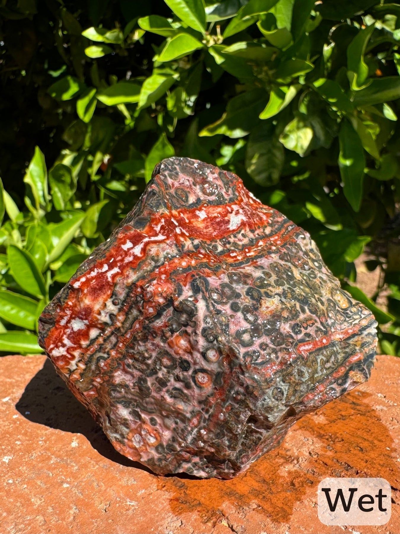 Captioned "wet," the piece while wet showing more vibrant red color and light red tinted background color. While wet the material has sharper color contrasts.