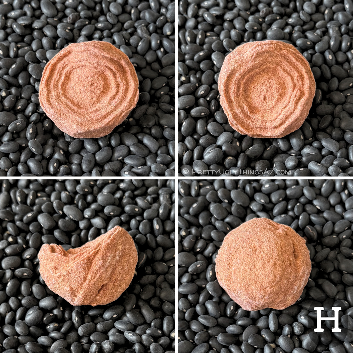 Four views of option H, a near-round piece with good rings. Viewed from the side, the main face is scoop-shaped. The piece has a light reddish sandstone color.