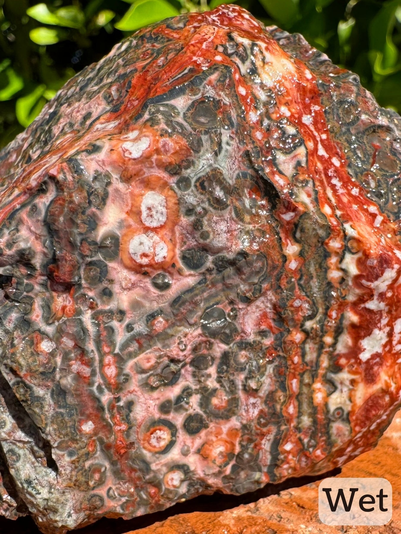 Captioned "wet," a detail view of the piece while wet showing multicolored spherulites and veins composed of spherulites. The radial growth pattern is apparent.
