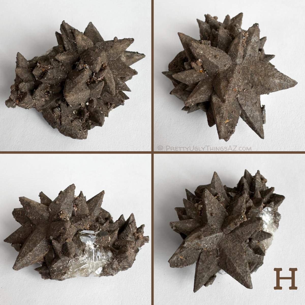 Option H, a very well-formed piece, the surface rough but with excellent large points in a good starburst formation. From the side the piece is longer, with some clear cleaved calcite exposed on one side. The surface is spotted with lumpy mineral growth, possible goethite.