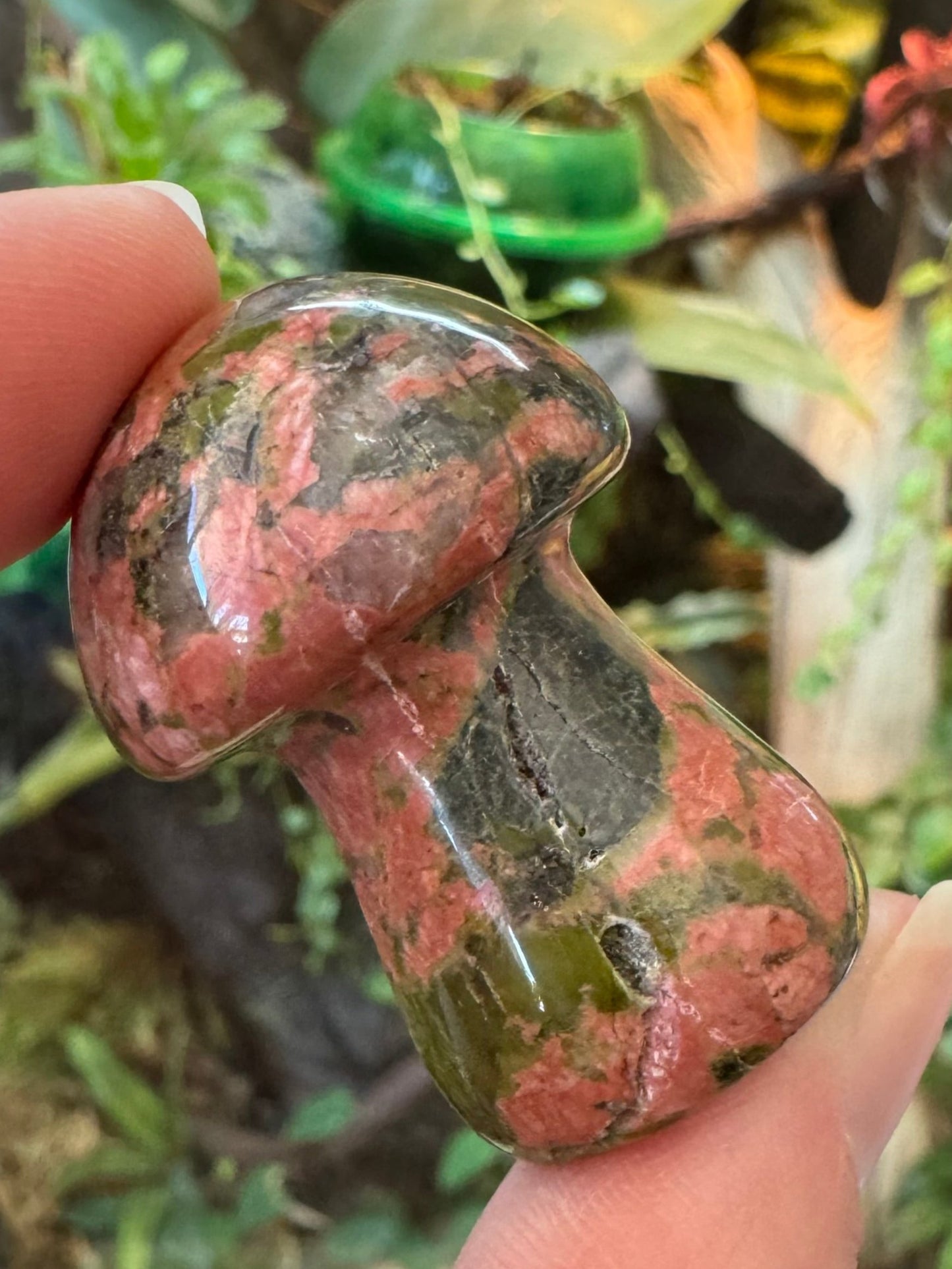 Close view of a unakite mushroom with a terrarium in the background