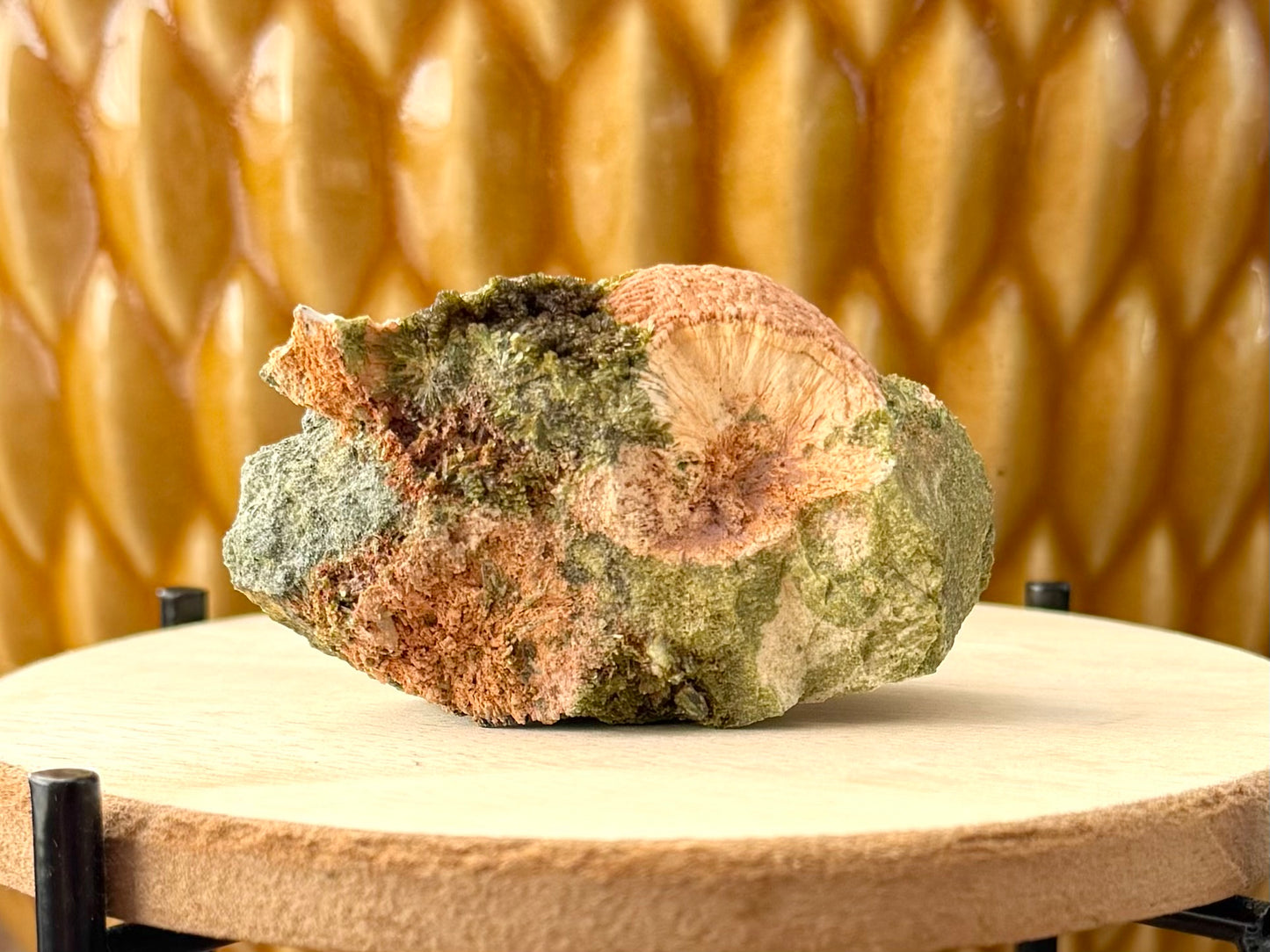 The bottom of the specimen, a broken surface of grainy rock matrix of light gray and green. The sphere is broken in cross-section, with some epidote with radial patterns to the left.