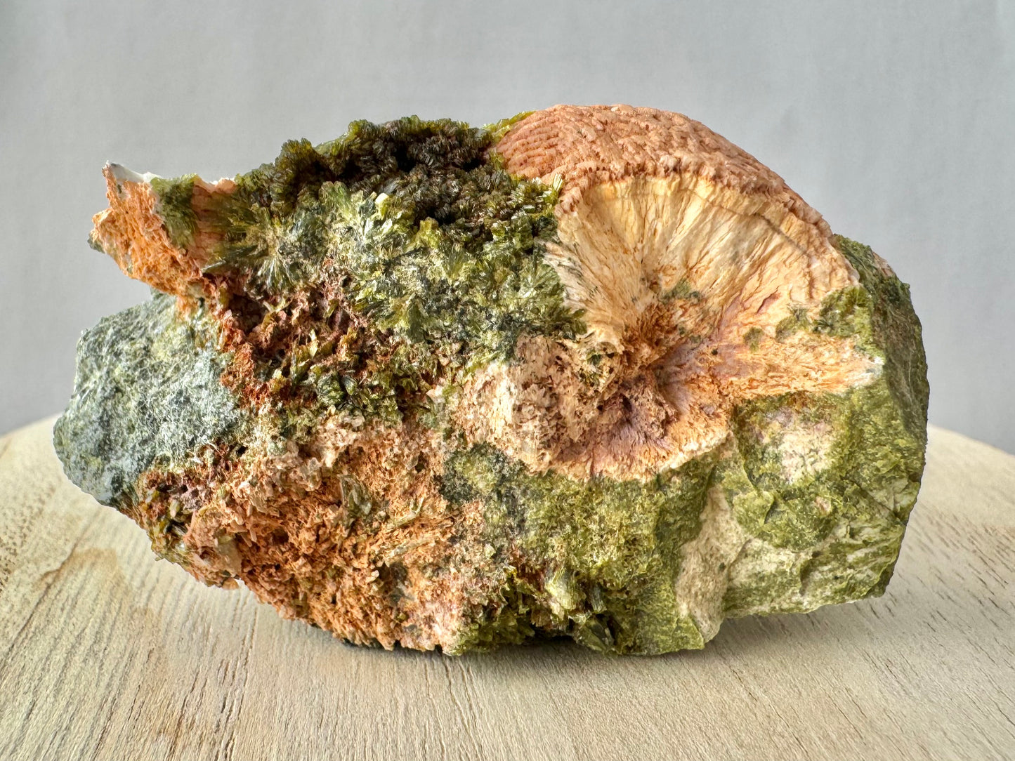 Detail of a roughly flat broken side of the piece, the radial pattern of the prehnite sphere apparent with a ring near the edge. There are radial and stacked epidote crystals to the left.