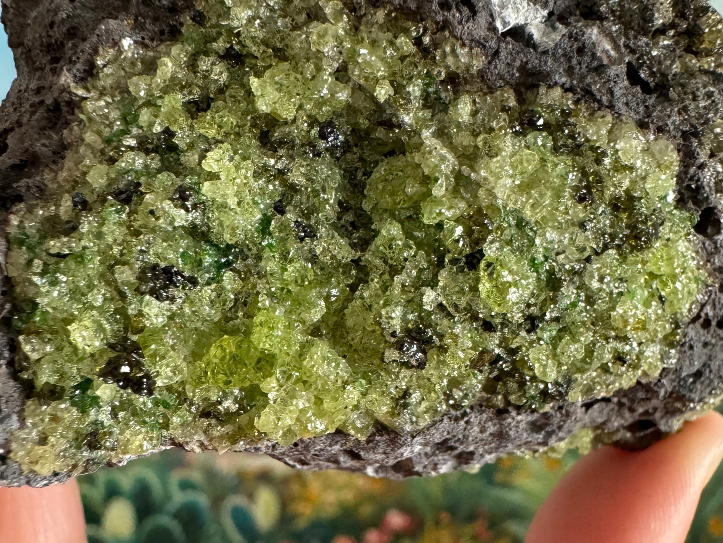 Close detail of the composition of the green minerals. There are large gemmy light yellow-green crystals of olivine, with some mishmash of dark forest green pieces of spinel and small pieces of vivid green diopside sprinkled through.
