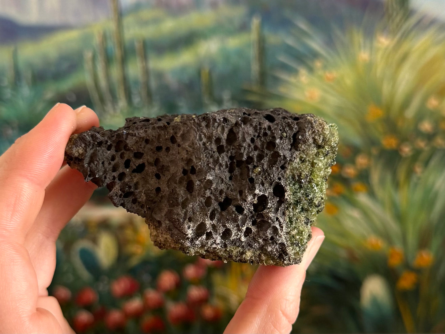 A roughly rectangular side of the piece that is all volcanic rock with a light white dusting along the bottom.