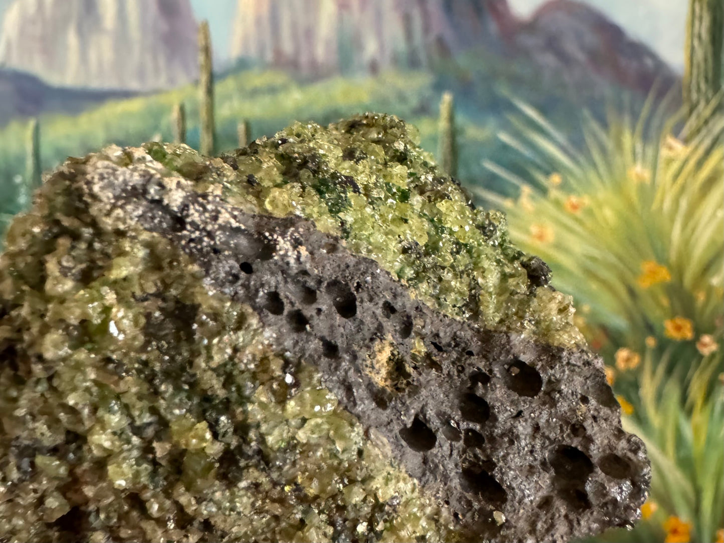 Detail of the separation between low and higher quality peridotite, with a thin strip of volcanic rock separating.