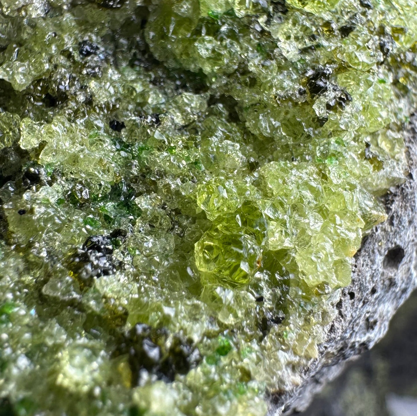 Detail of some especially large and gemmy olivine crystals