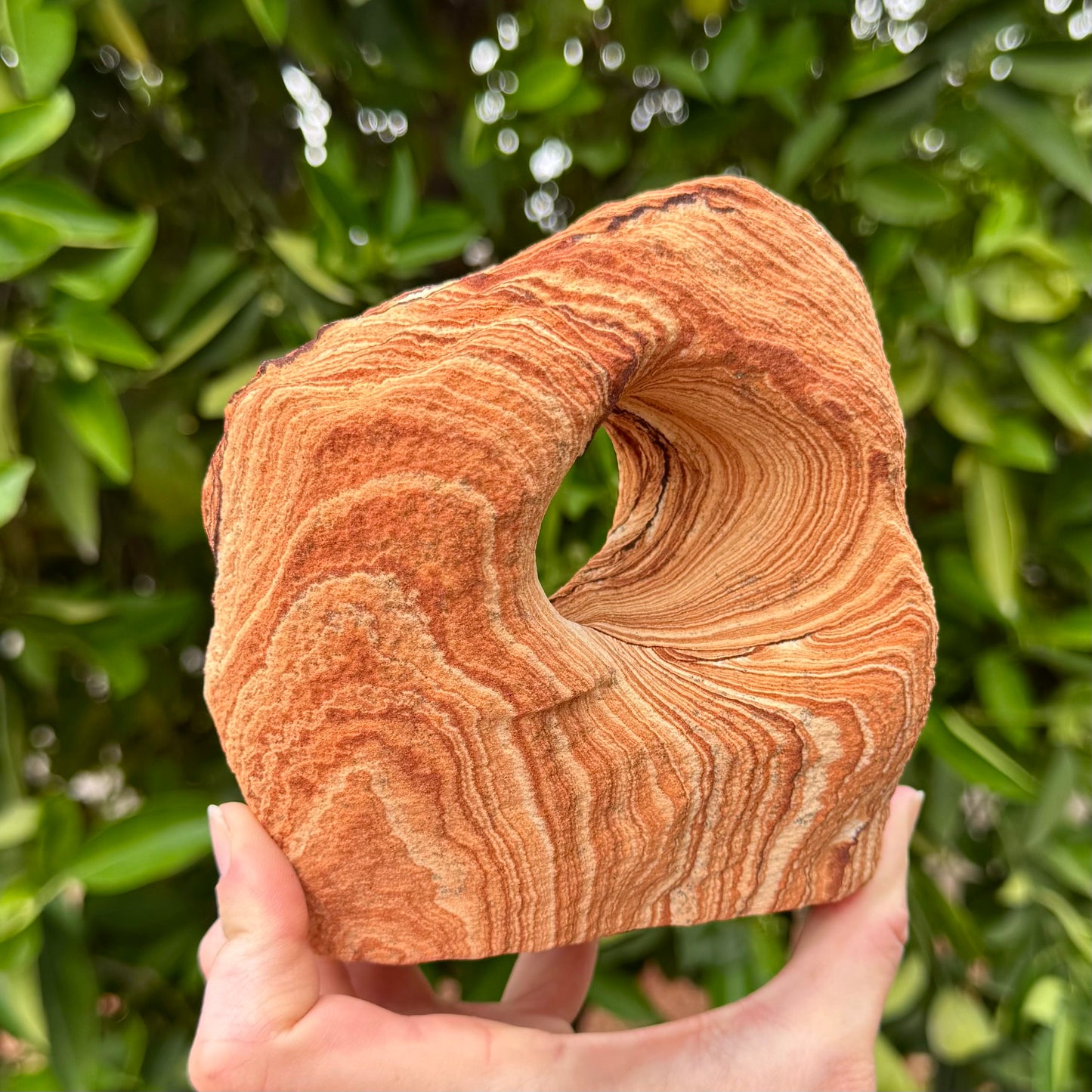 A medium-large sandstone arch held in a hand for scale, the base larger than palm-sized. The arch is a blocky squarish shape with vivid orange layering sweeping around its curves.