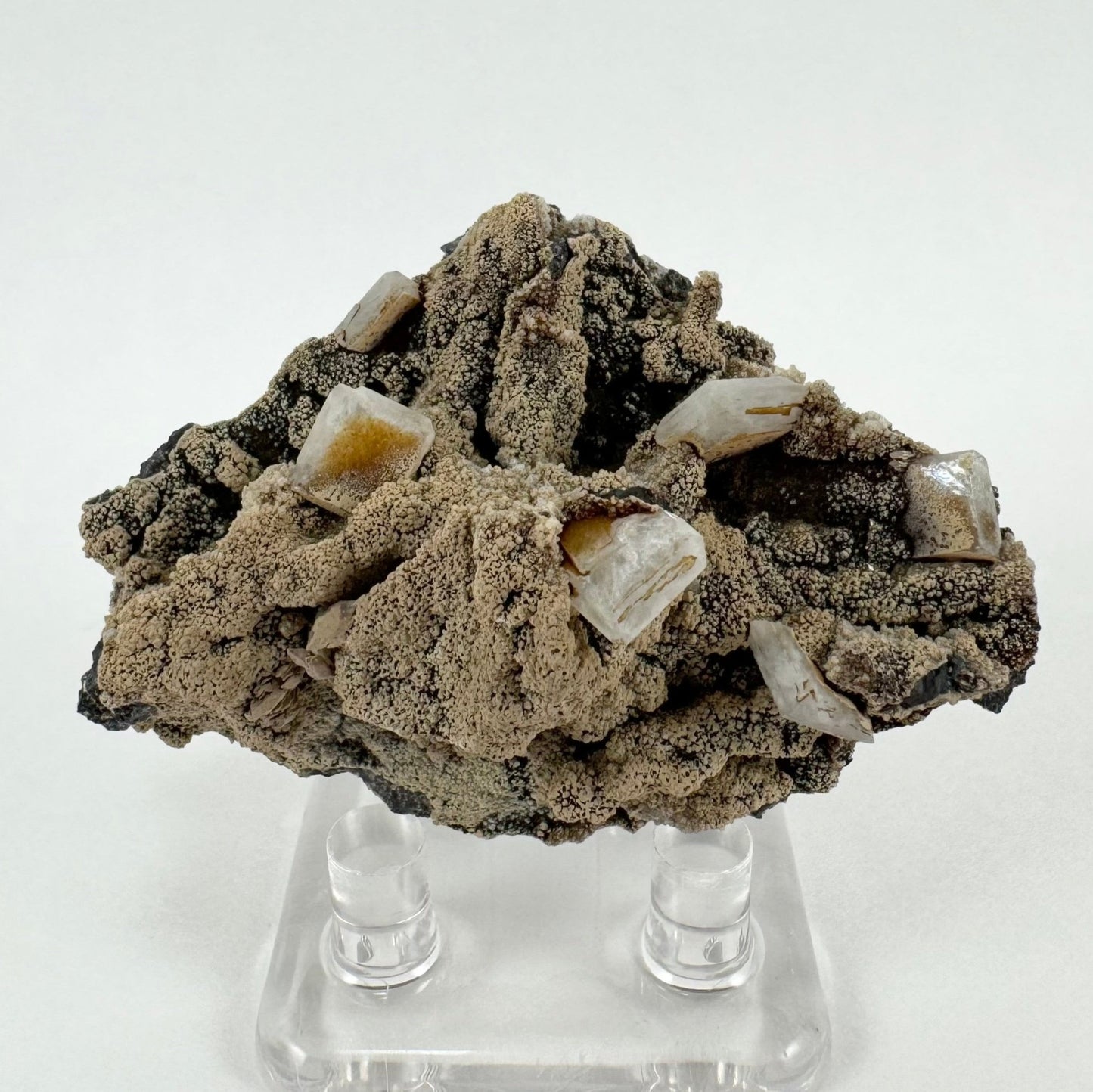 Full view of the specimen, with six hydroxyapophyllite crystals visible, and lumpy almost ropy textured matrix