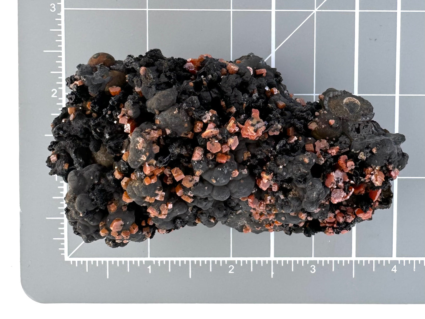 Scale image of the mineral specimen on a measuring mat, measuring a bit over three inches long and almost two inches wide.