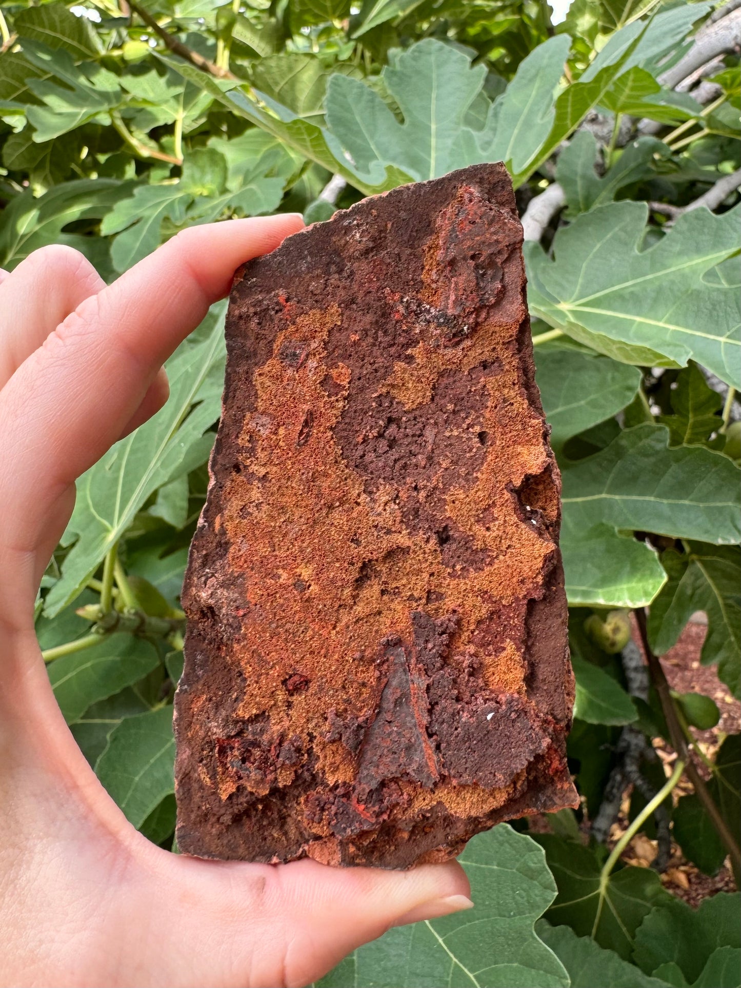 The back of the piece, showing rough matrix with super rusty colors of iron-oxides, deep red-brown and orange-tinted.