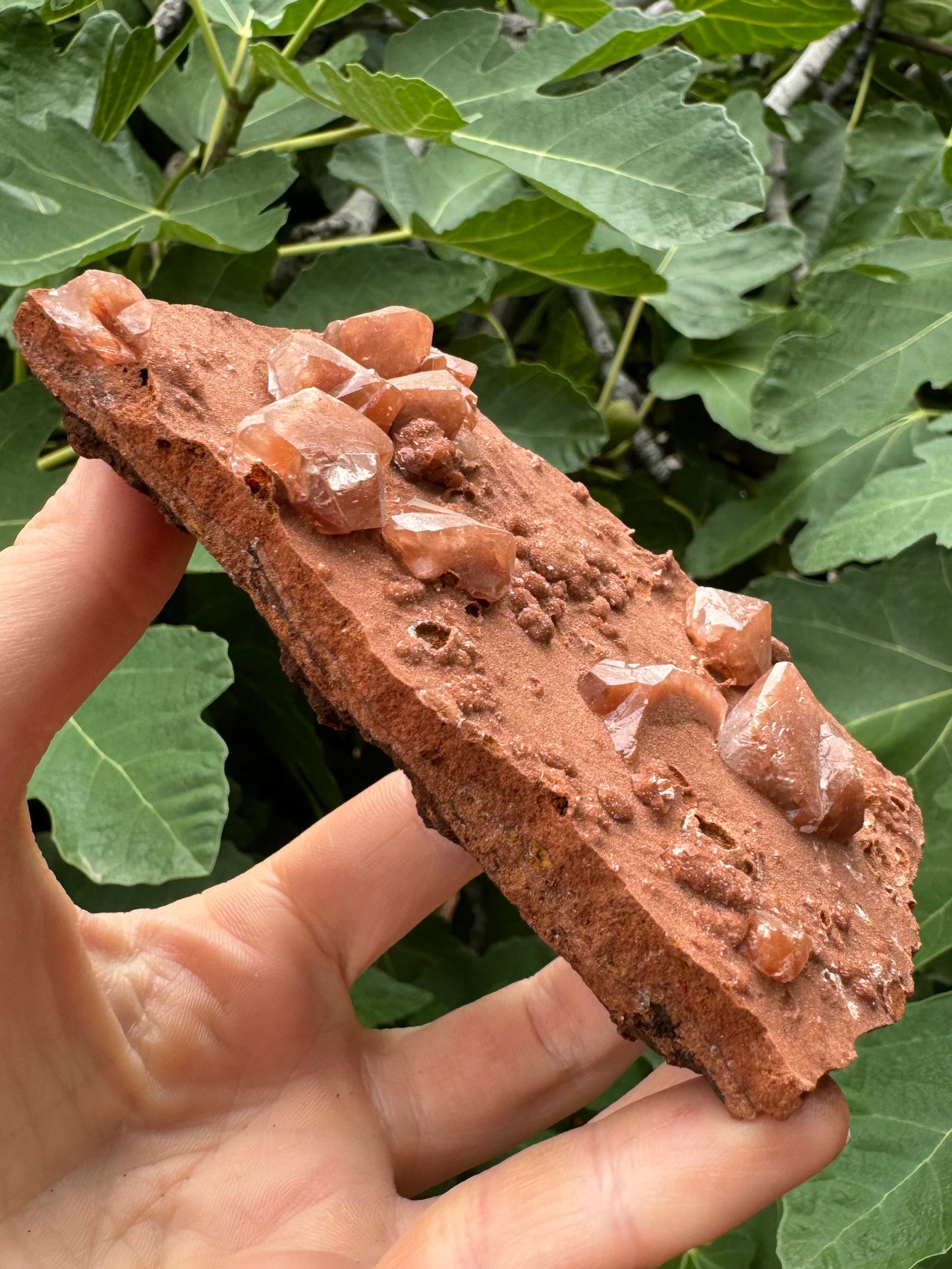 Angled view of the piece showing the large calcite crystals on the surface. They have blocky, angular modified rhombohedral shapes, with some good surface growth patterns. The calcites are included with the same red coloration as the piece, but slightly more colorless near the tip.