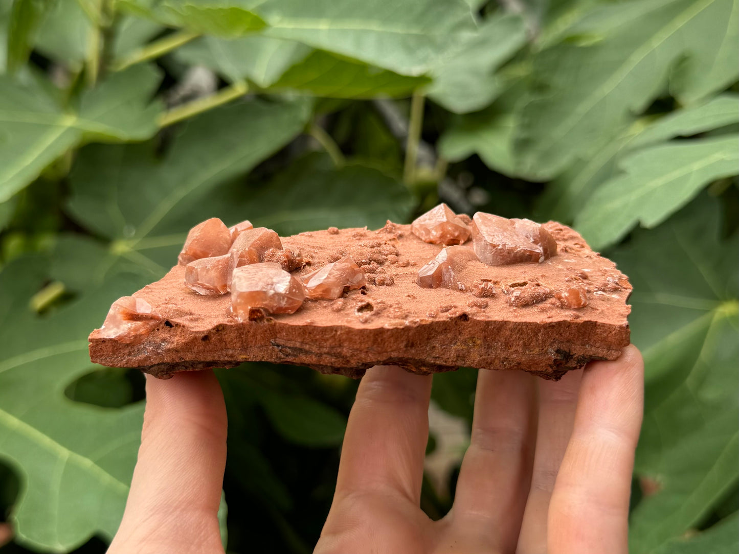 Side view of the piece, showing it is flat and thin with a layered-looking red-brown sandy textured matrix, and a dark layer on the very bottom.