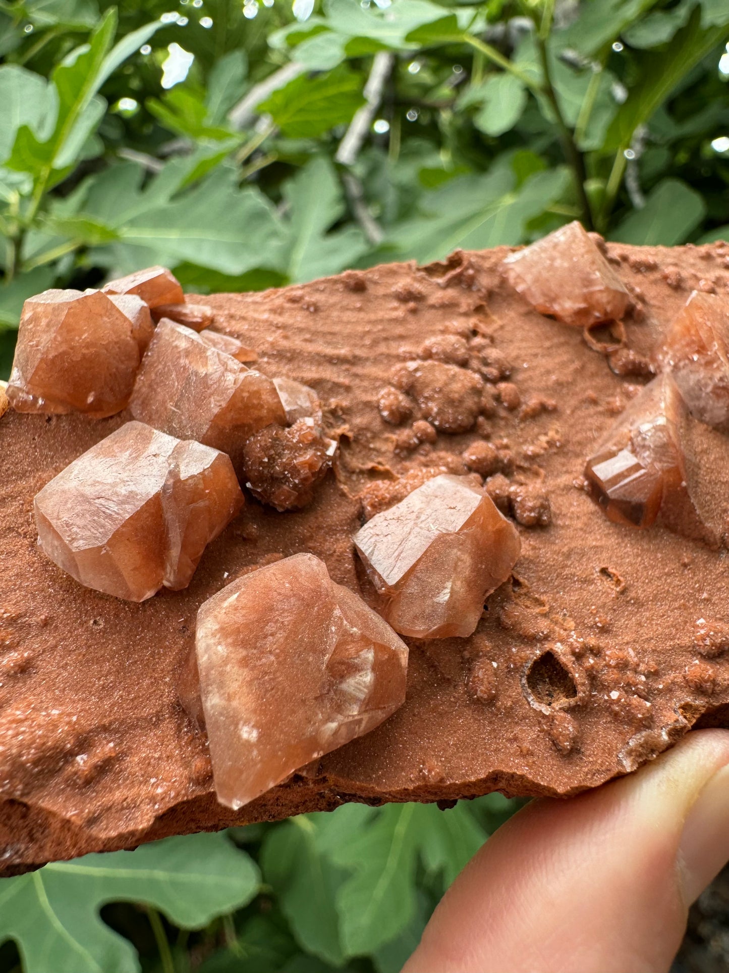 Detail view of several of the angular blocky calcite crystals, with reflections off their faces showing details of growth patterns