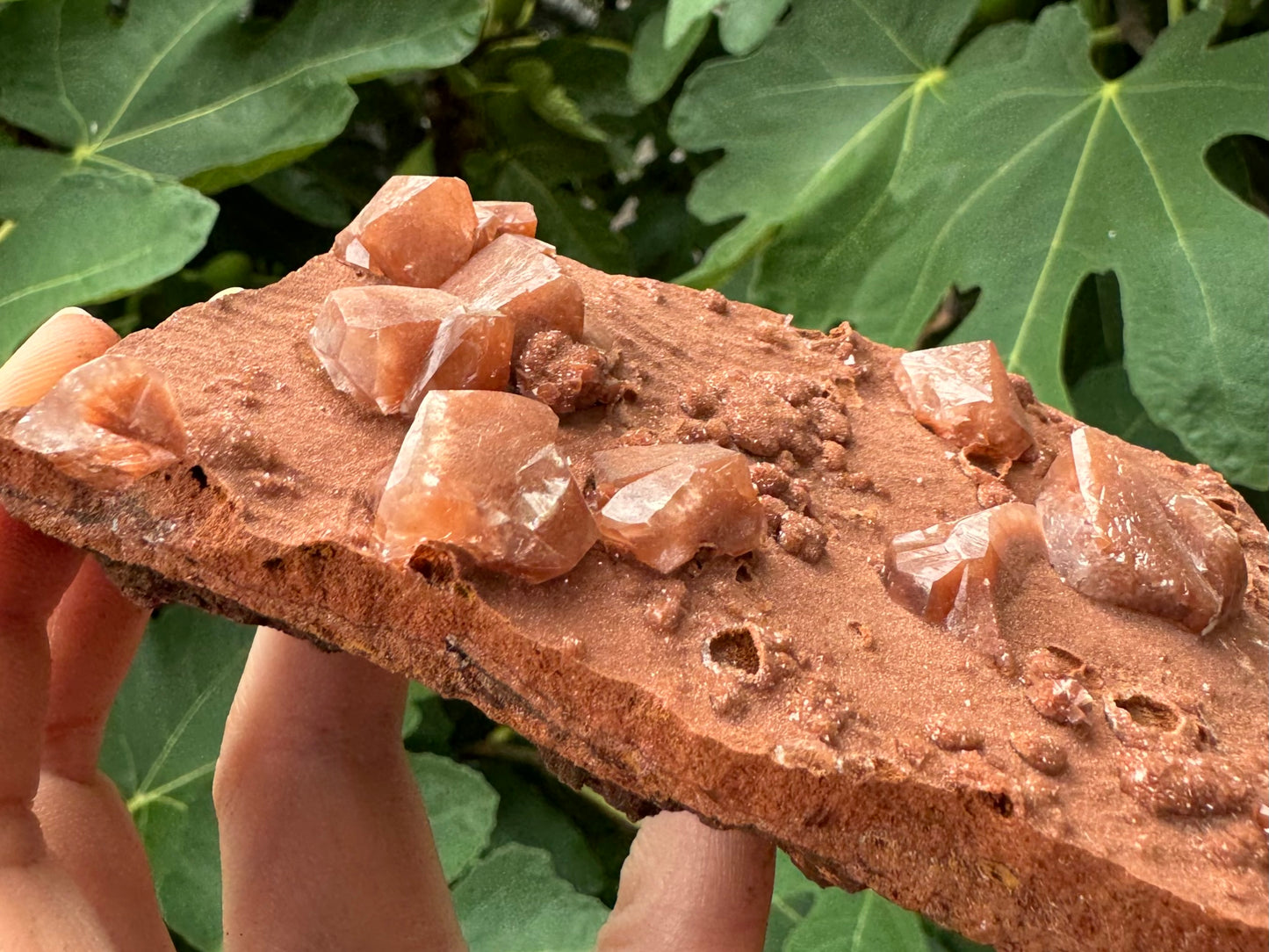 Detail angled view showing the surface has a grain surface like sandstone, and ripple-like patterns are visible on the surface. There are lumpy round growths on the surface with a glittery druzy surface. Some are broken open and hollow, looking like small craters.