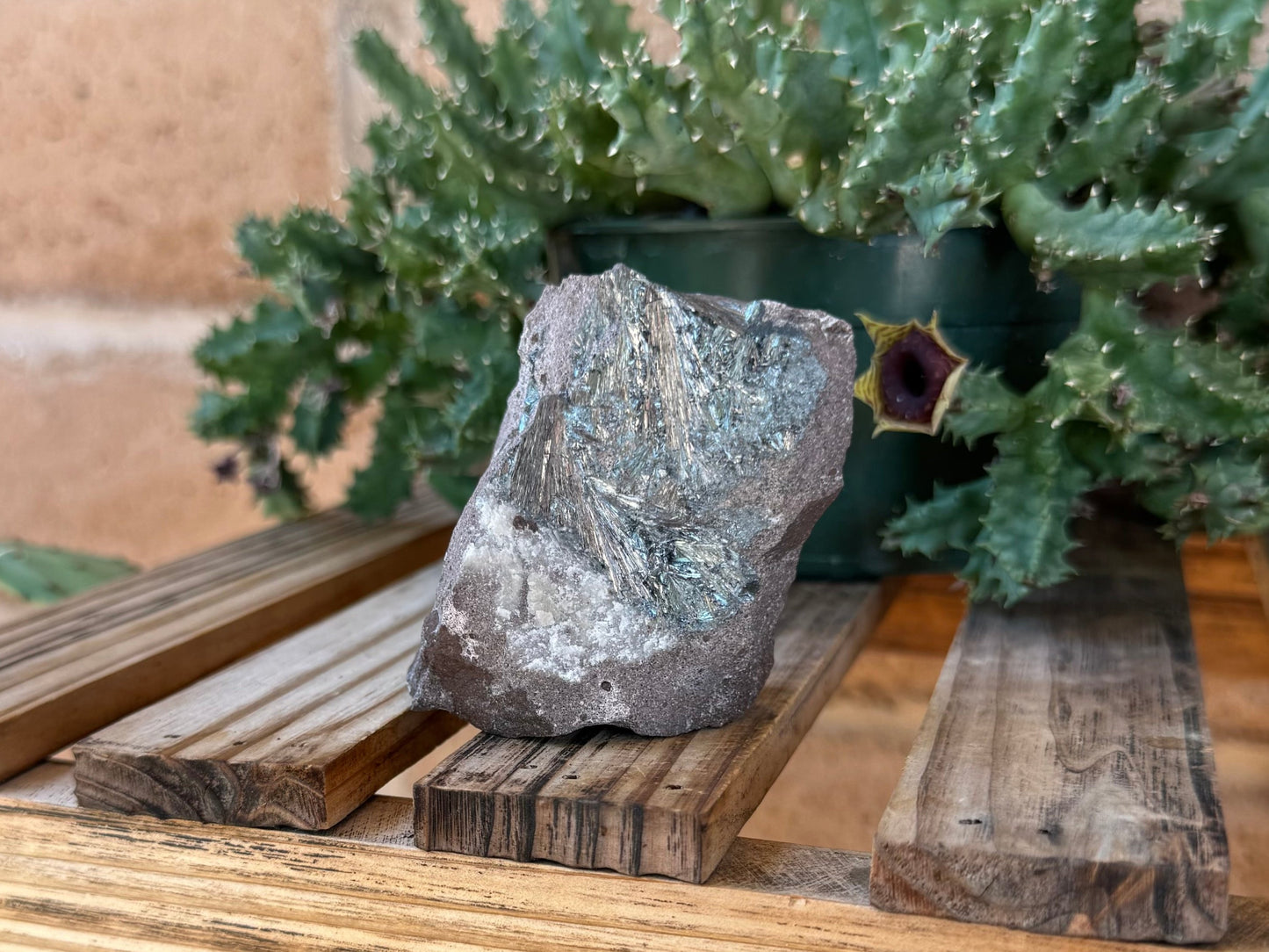 The specimen on-end with the fanning pyrolusite on the upper half, with a rough white mineral in part of the matrix.