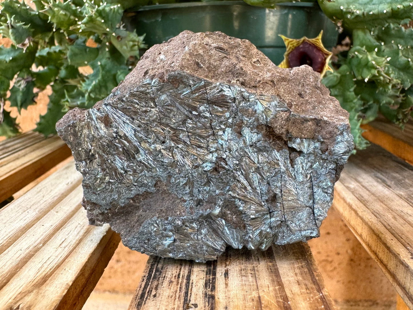 Detail of the pyrolusite, forming complex fanning patterns with fractures along straight parallel lines through it.