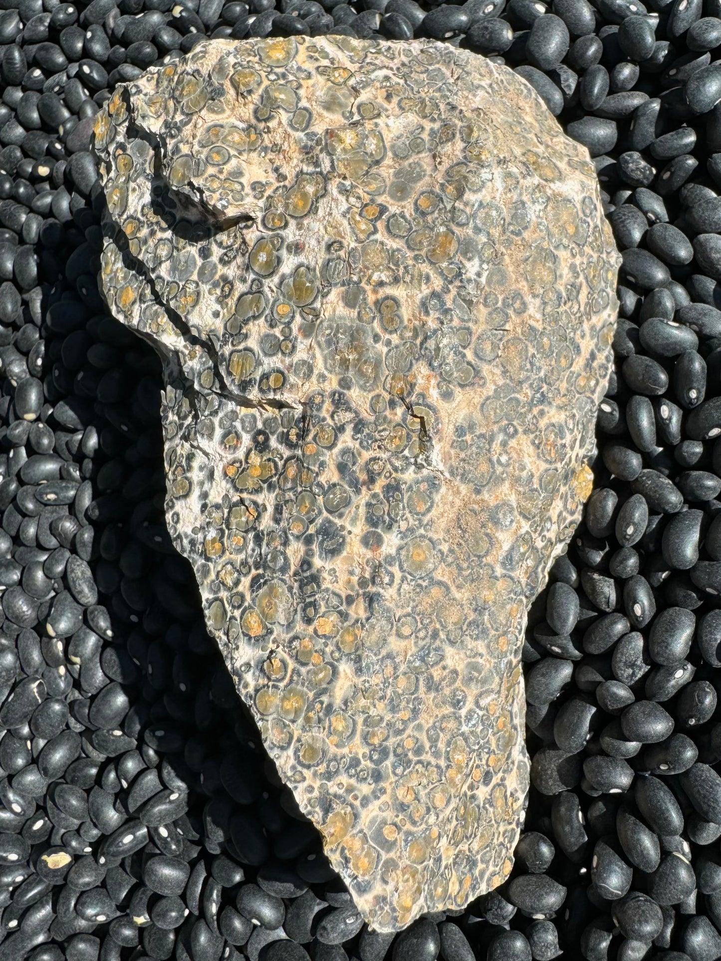 The other side of the liver-shaped rock, which shows the same good pattern. On the right side, the pattern is muted.