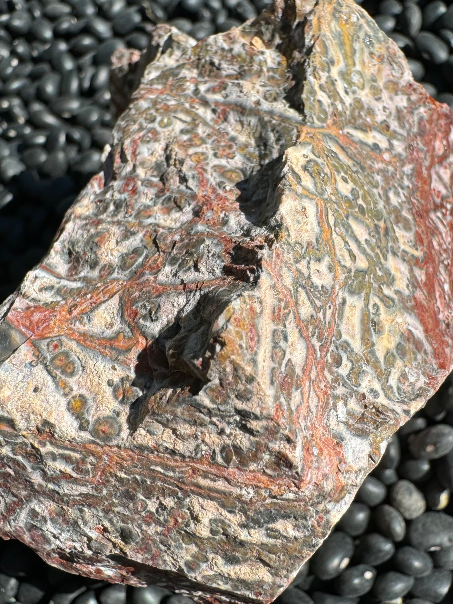 Detail view of the uneven rock surface, showing the radial growth lines of the orbicular patterns. Veins of color are angular and wrap around edges. Veins have streaky red-orange color bordered with dark gray.