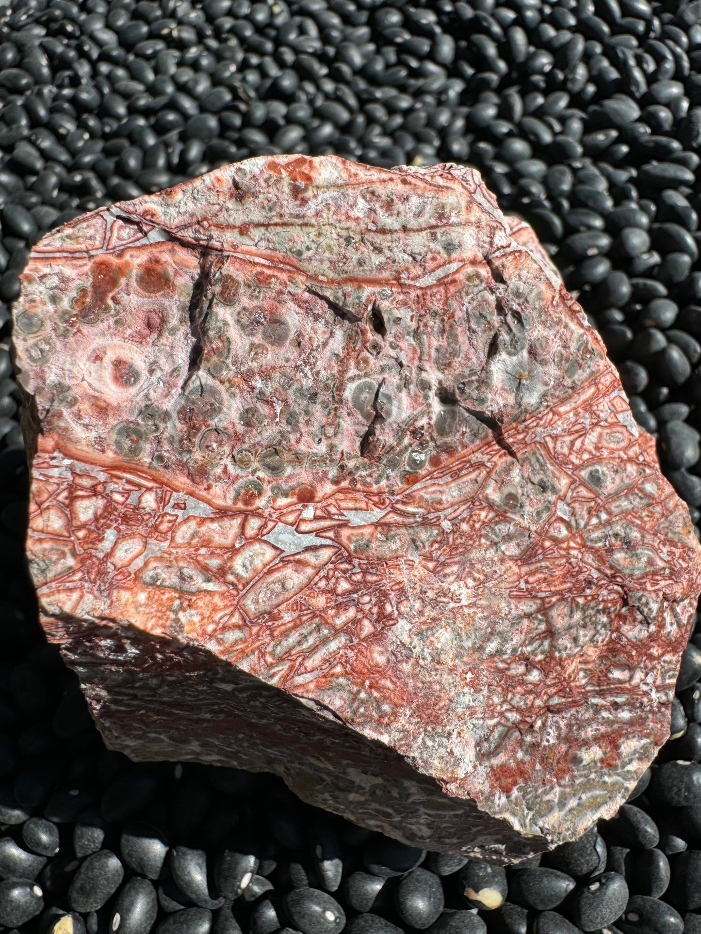 A flat side of the piece with red color, mostly covered in thin red-and-white veining with a band of more muted-color gray orbicular pattern.
