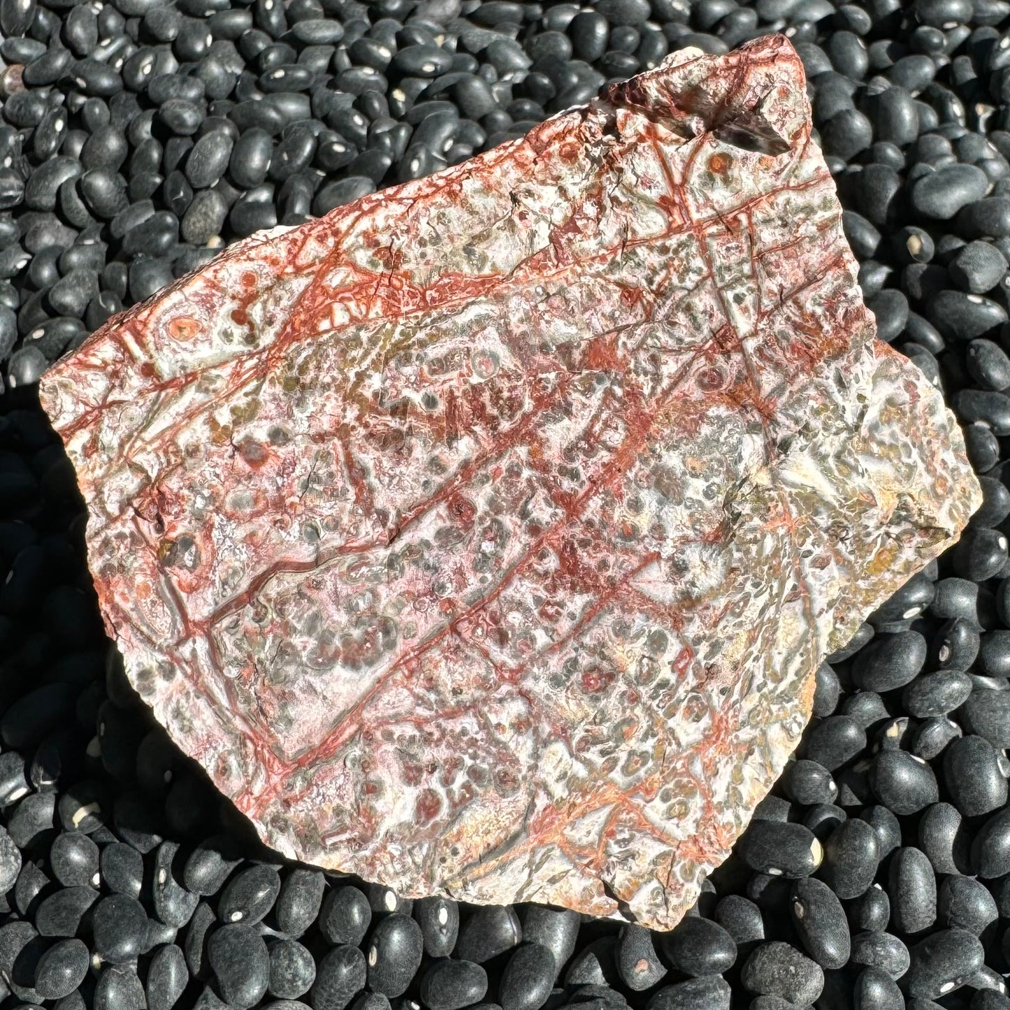 An off-square piece of rough red leopardskin jasper with spidery thin red veining on a light tan to rose-tinted rock background. Small red, dark gray, and yellow orbicular pattern spots the piece between veins.