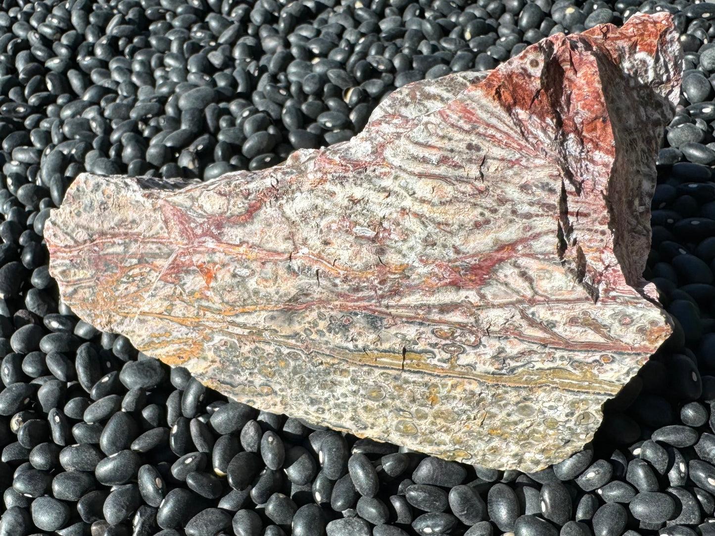 Another side of the piece, lighter ten color showing a lot of background. There are thin veins across the face, golden yellow and the bottom and deepening to red at the top. The orbicular pattern isn't very well-formed but is yellow-mustard at the bottom and red-tinted above.
