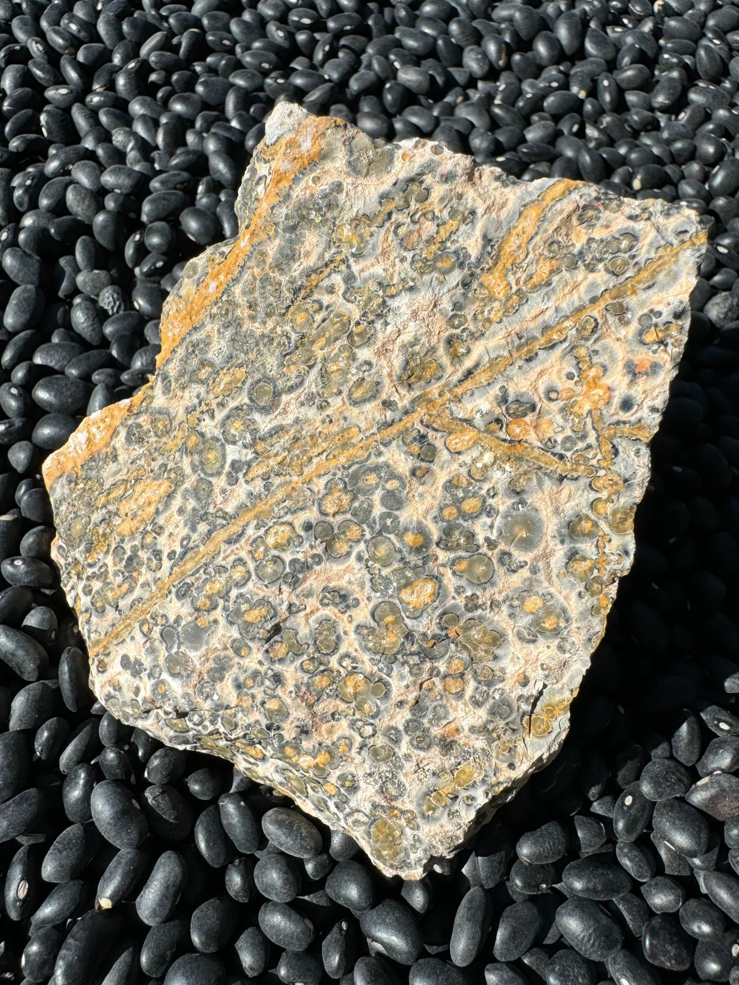 Another side of the piece, spotted with well-formed orbicular pattern and several veins of yellow color.